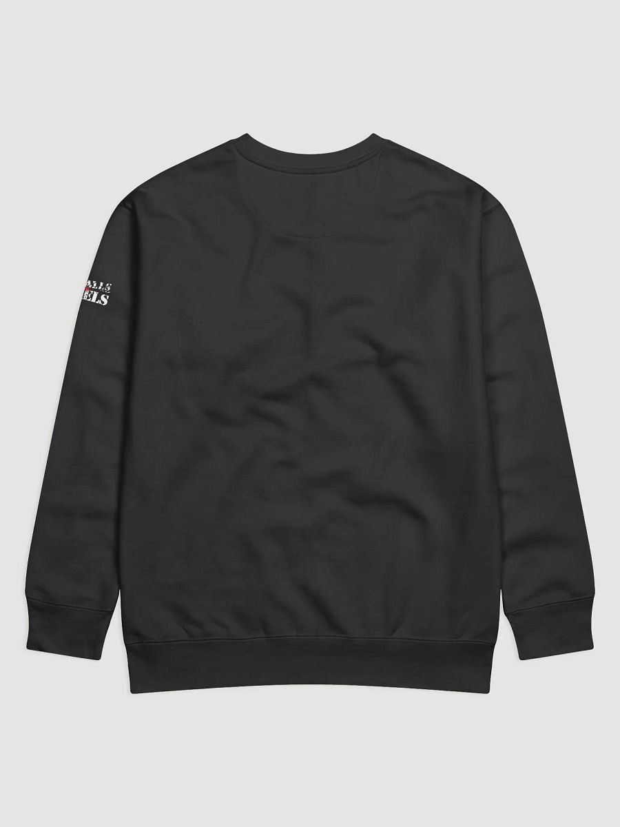 Cammy x Sable Cosplay Black Sweatshirt product image (2)