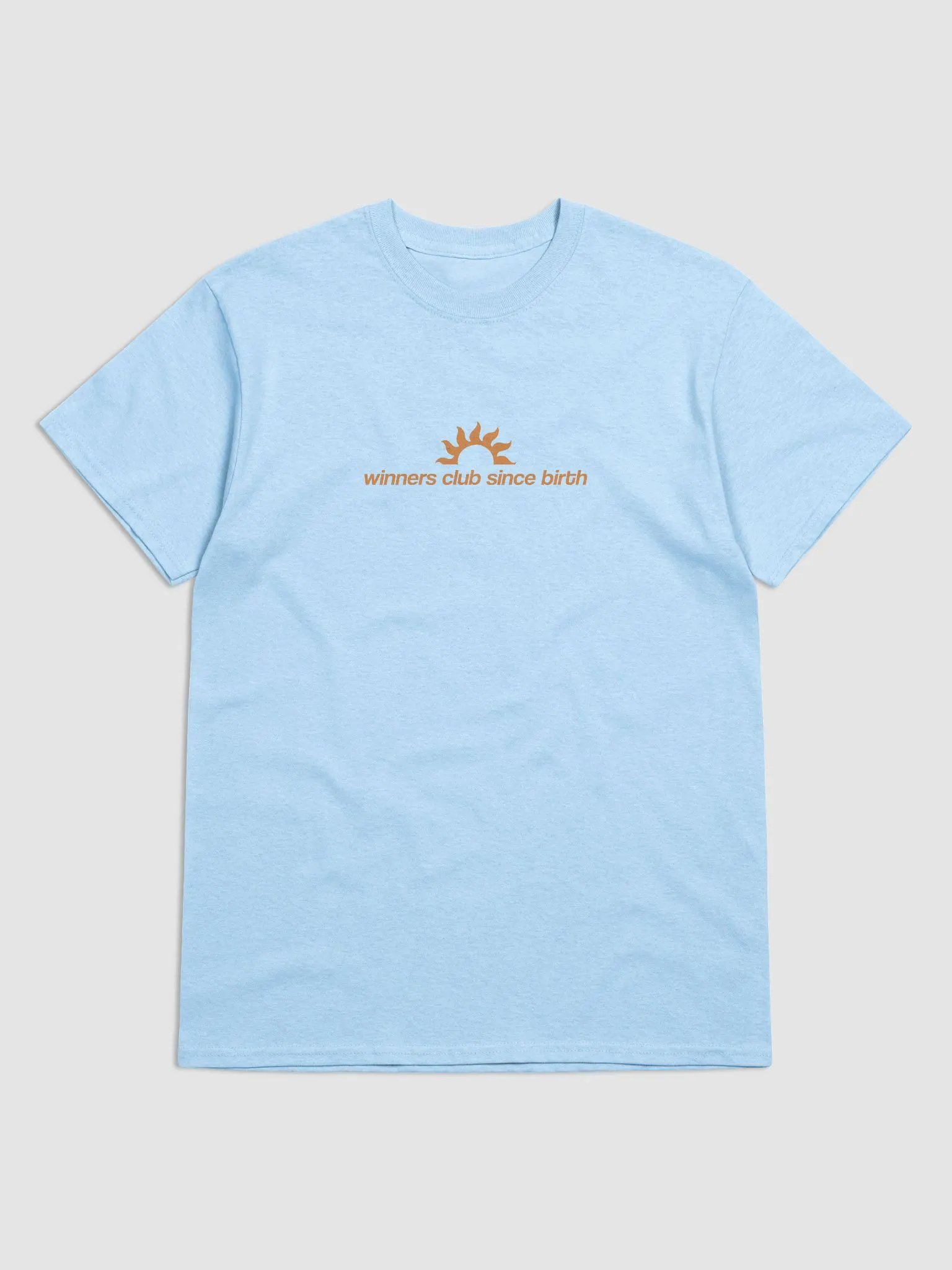 I Never Lose product image (2)