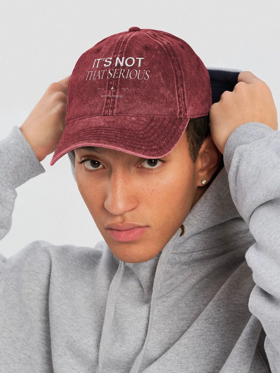 It's Not That Serious Dad Cap product image (18)