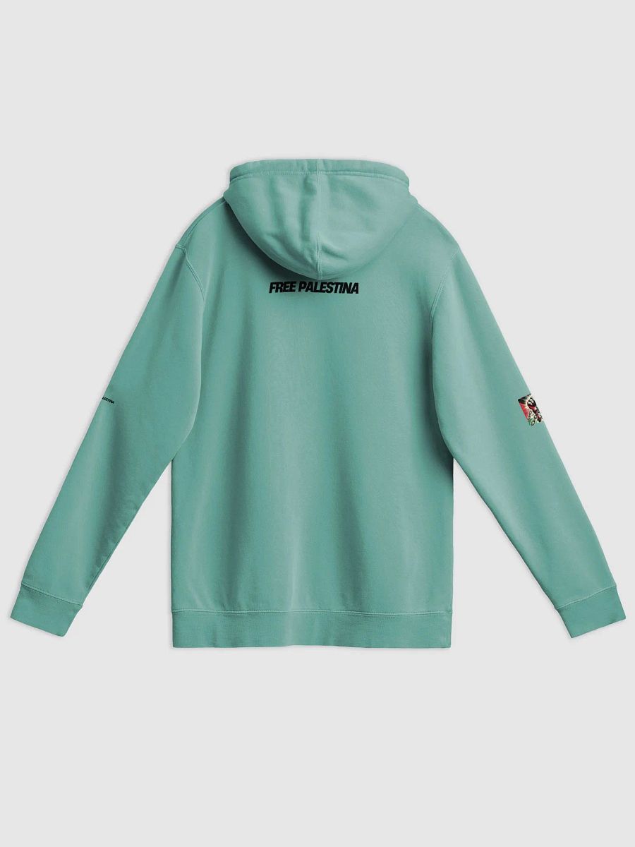 Independent Trading Co. Pigment Dyed Hoodie | AI Design FREE PALESTINA product image (2)