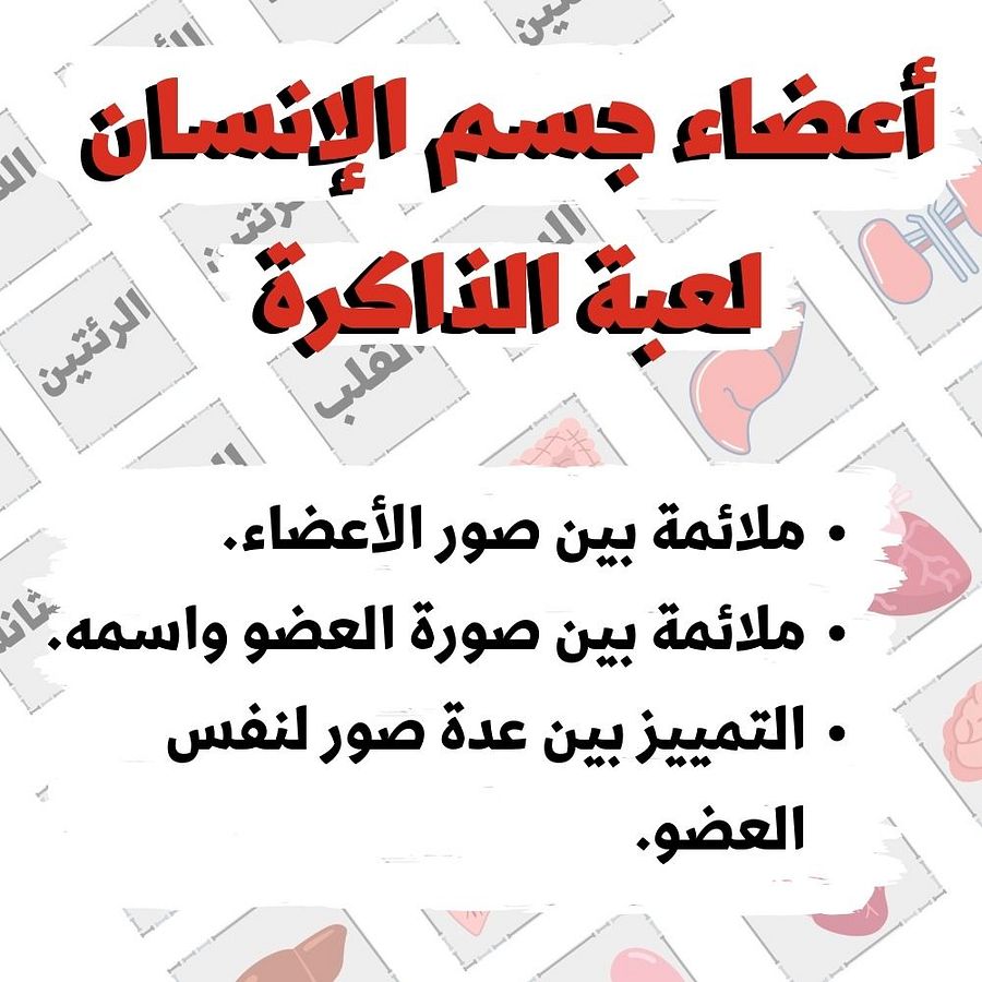 لعبة الذاكرة | أعضاء جسم الإنسان - pdf product image (3)