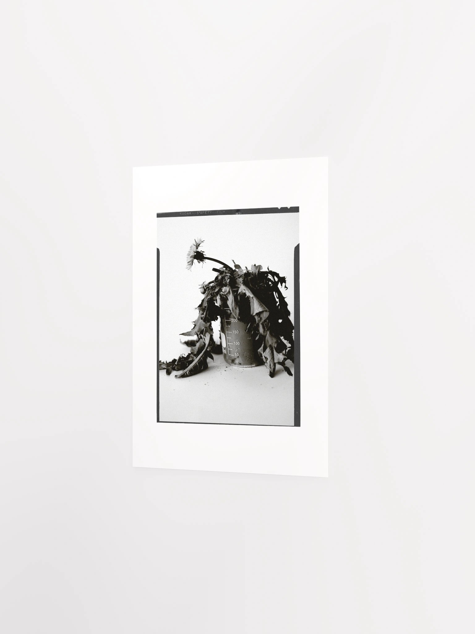 James C'Avedon Print • "Mud Portrait #1" product image (16)