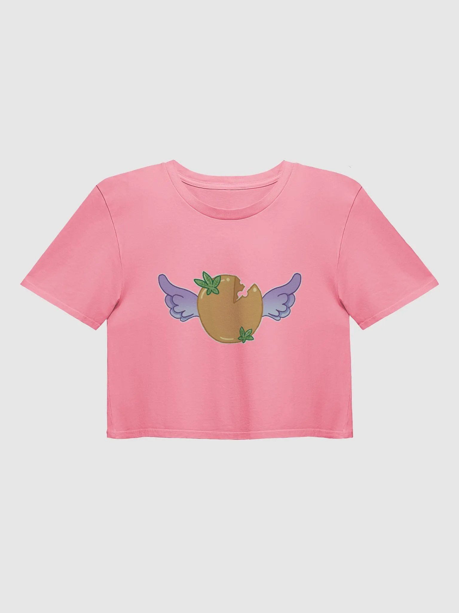 Official Logo Cropped Tee product image (3)