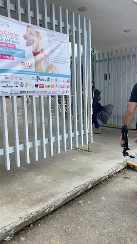 Ready to photograph some cute dogs at @cocosanimalwelfare spay and neuter clinic today. 

#volunteering #animalwelfare #photo...
