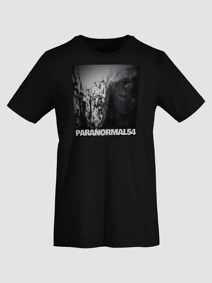 Haunted Mother Mary Statue T-Shirt product image (4)