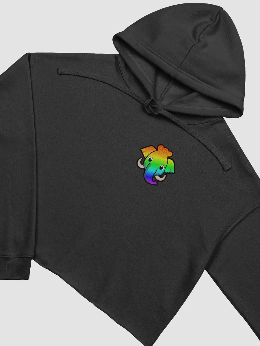 Mammoth Pride Crop Hoodie product image (10)