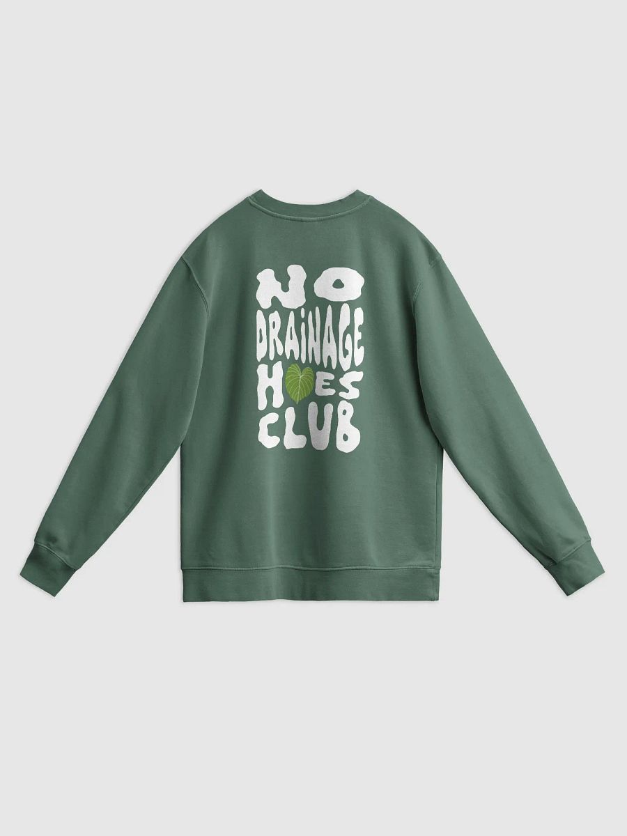 No Drainage Hoes Unisex Midweight Pigment Dyed Crewneck (multiple colours) product image (2)