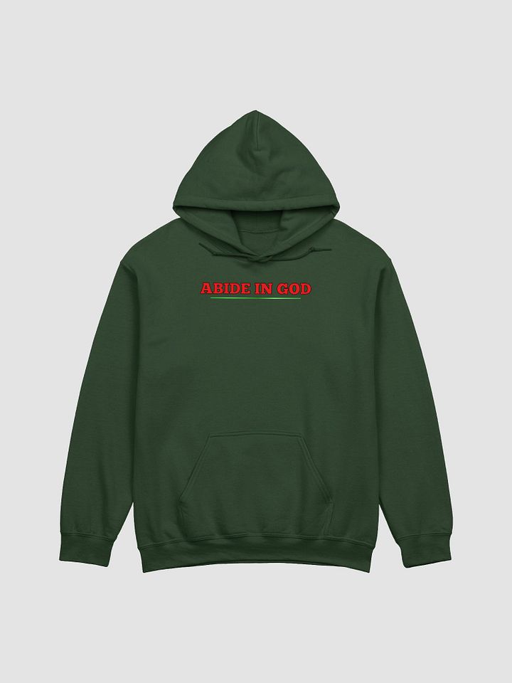 Abide in GOD product image (1)