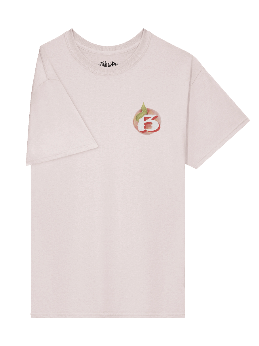 Breach Alpharetta Peach Tee (Light) product image (3)