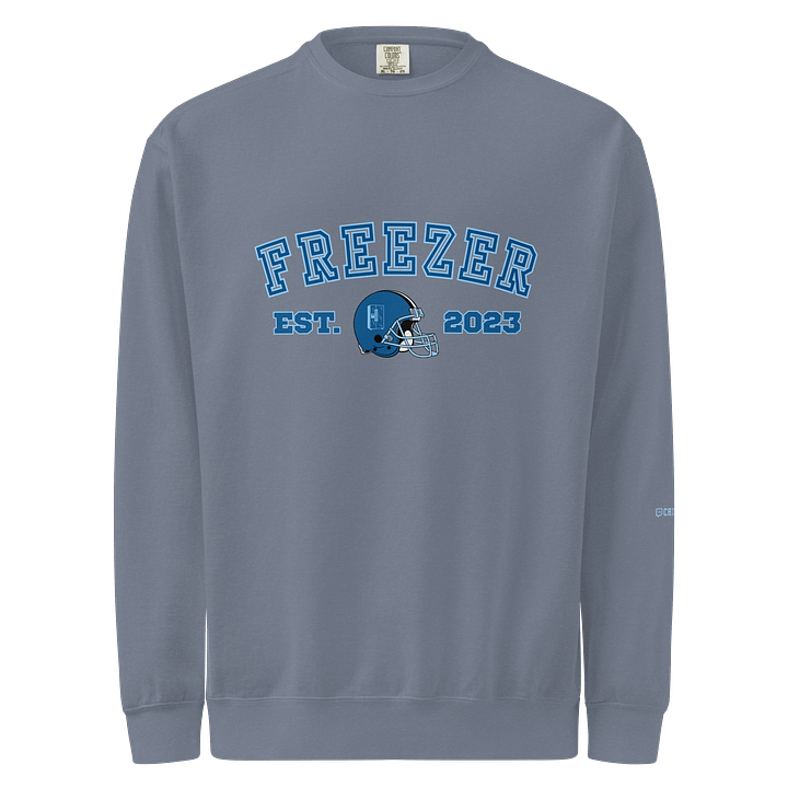 Freezer Vintage Sports Comfort Colors Crew Neck product image (1)
