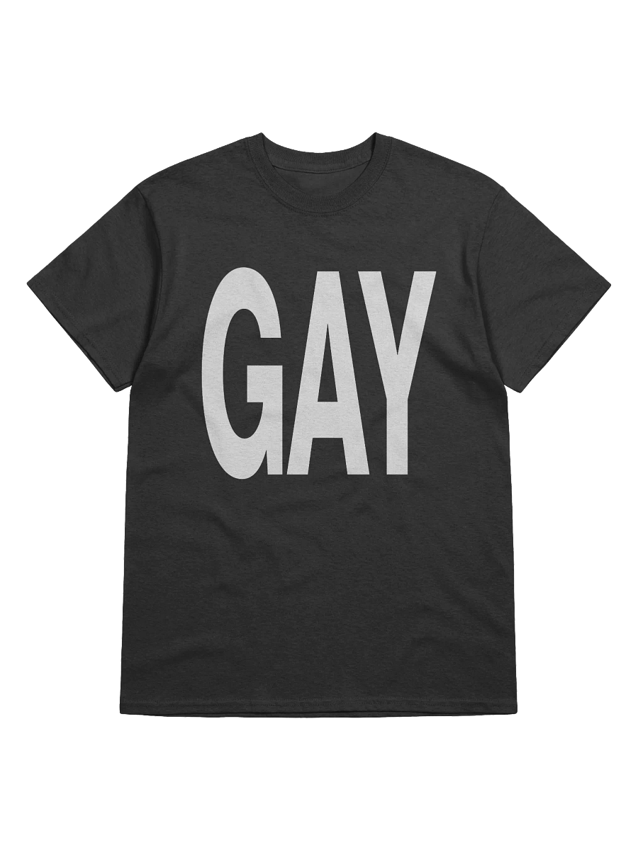 'GAY' T-Shirt product image (1)