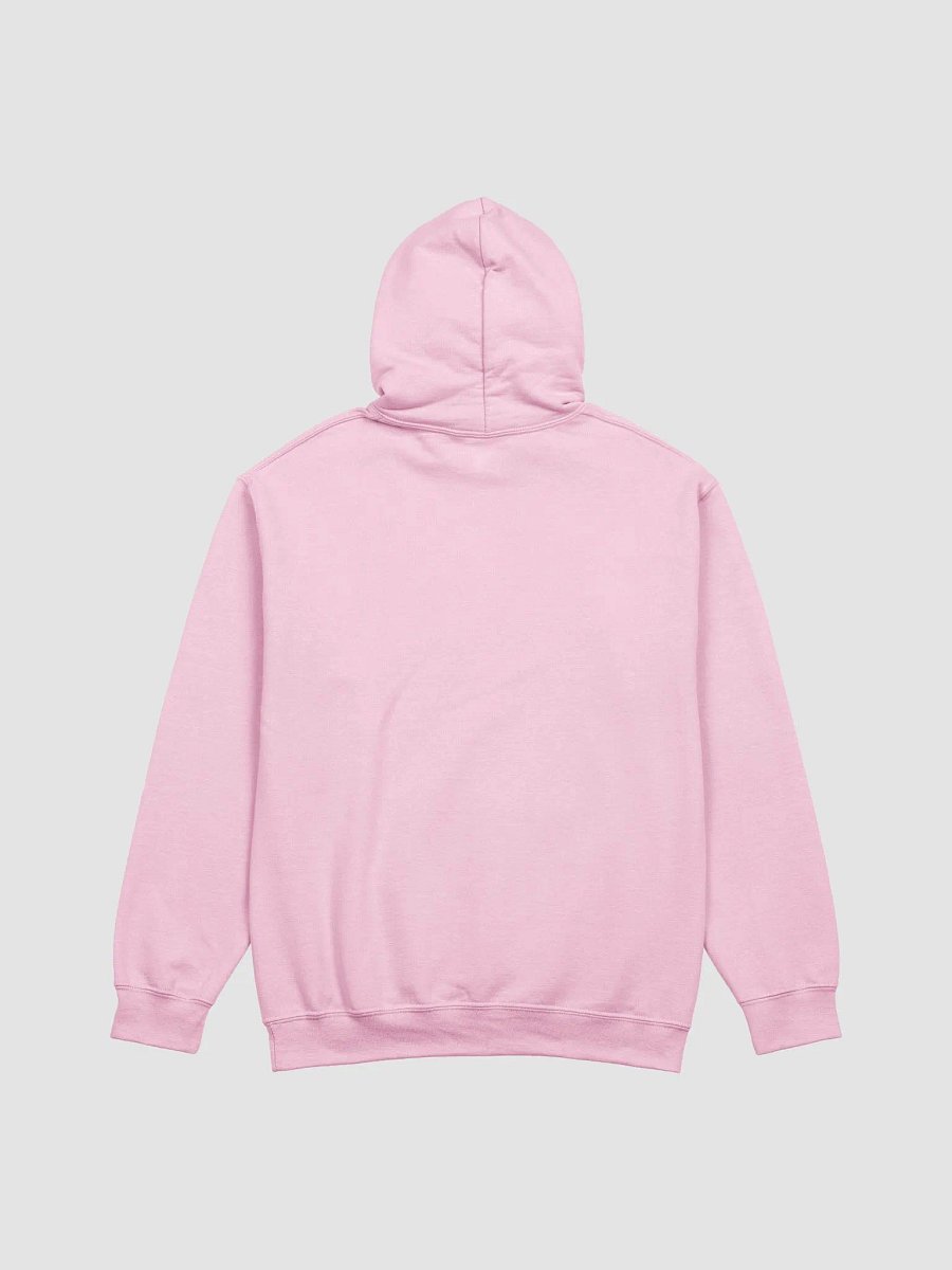 CBT Hoodie product image (49)
