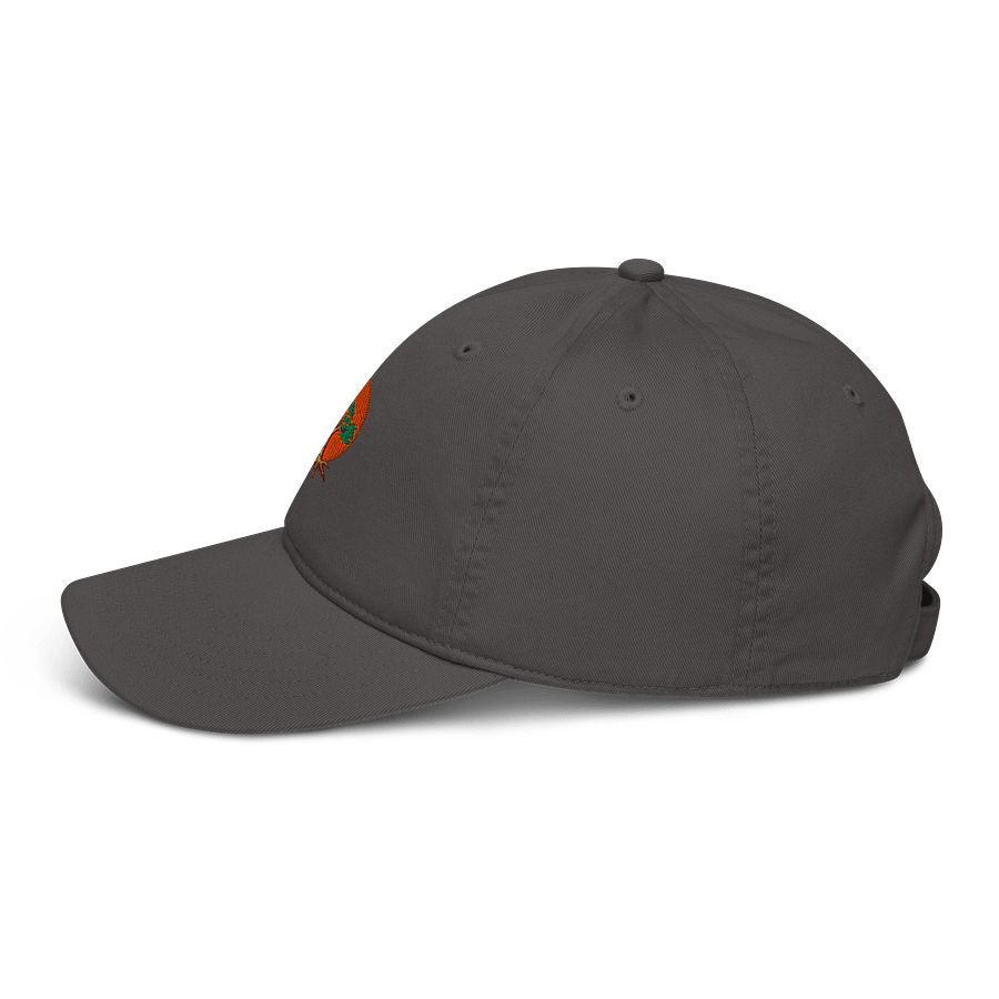 Organic Tree Circle Dad Hat product image (3)
