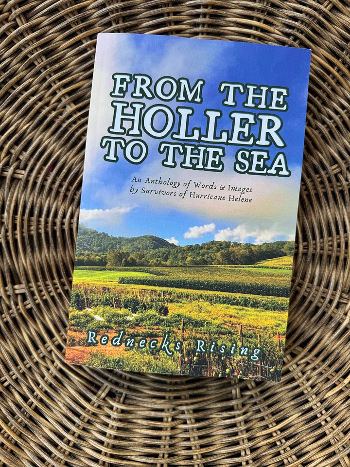 PRE-ORDER - From the Holler to the Sea Anthology product image (1)
