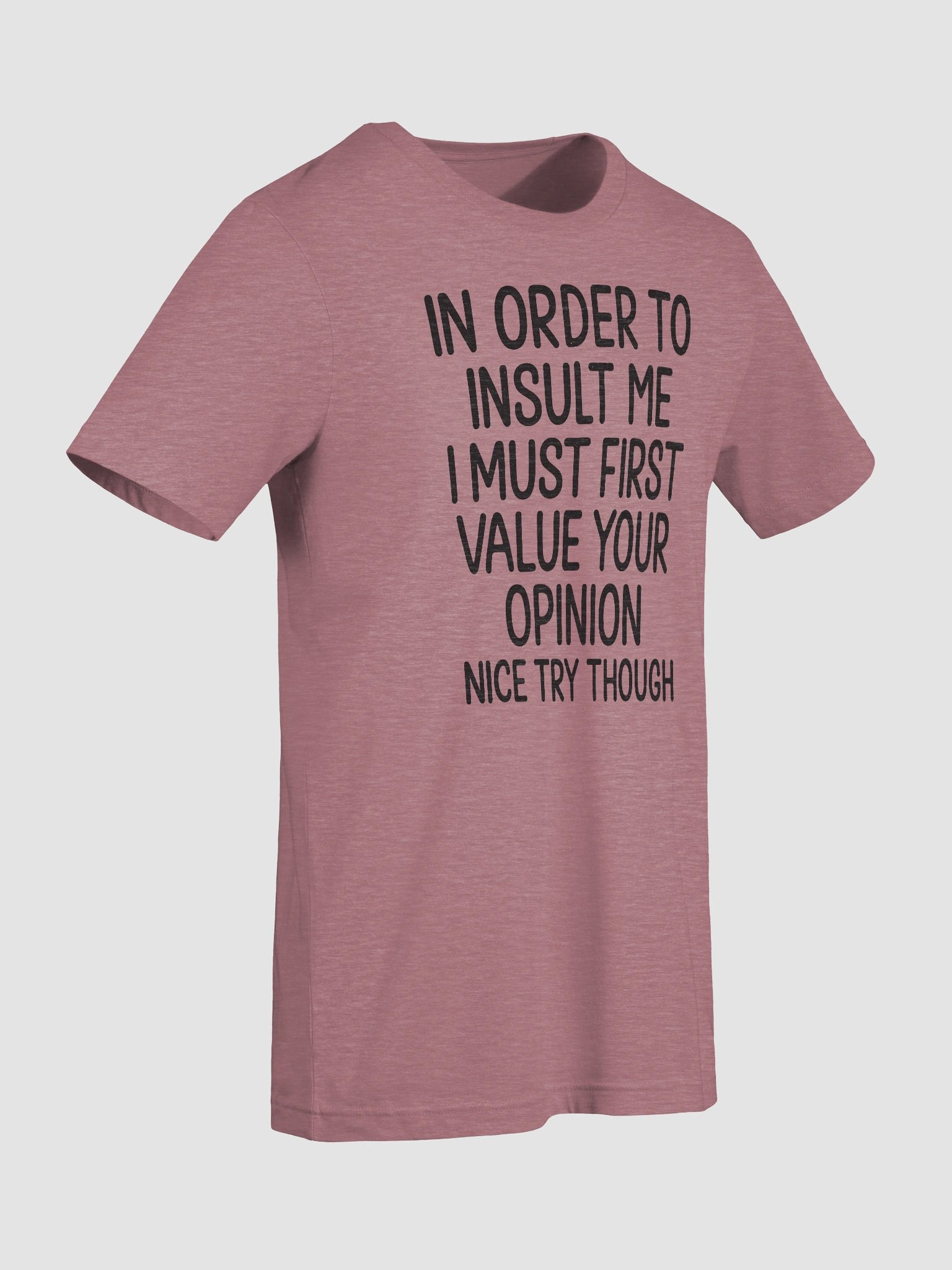 In Order to Insult Me I Must First Value Your Opinion – Funny T-Shirt product image (9)