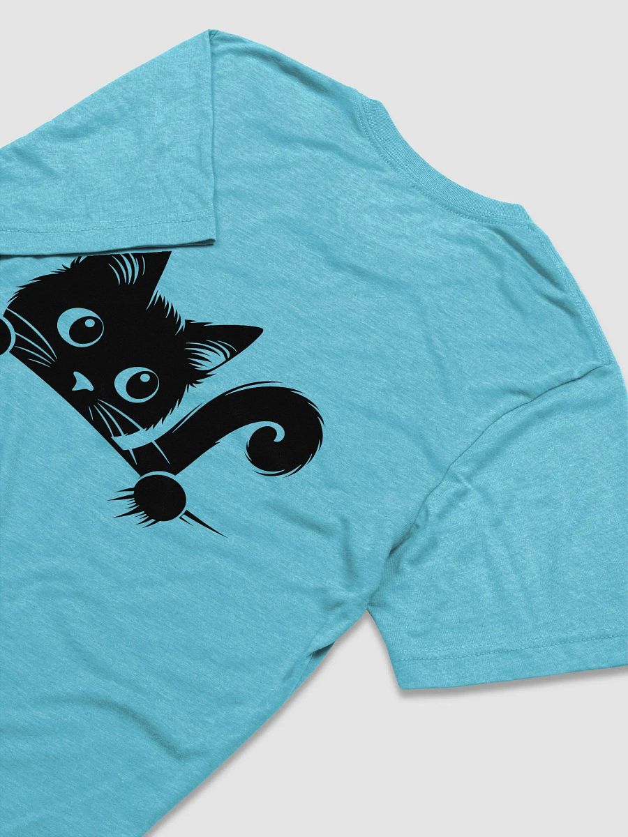 The Kitty Kingdom Exclusive Bella+Canvas Triblend Cat Lover Tee product image (4)