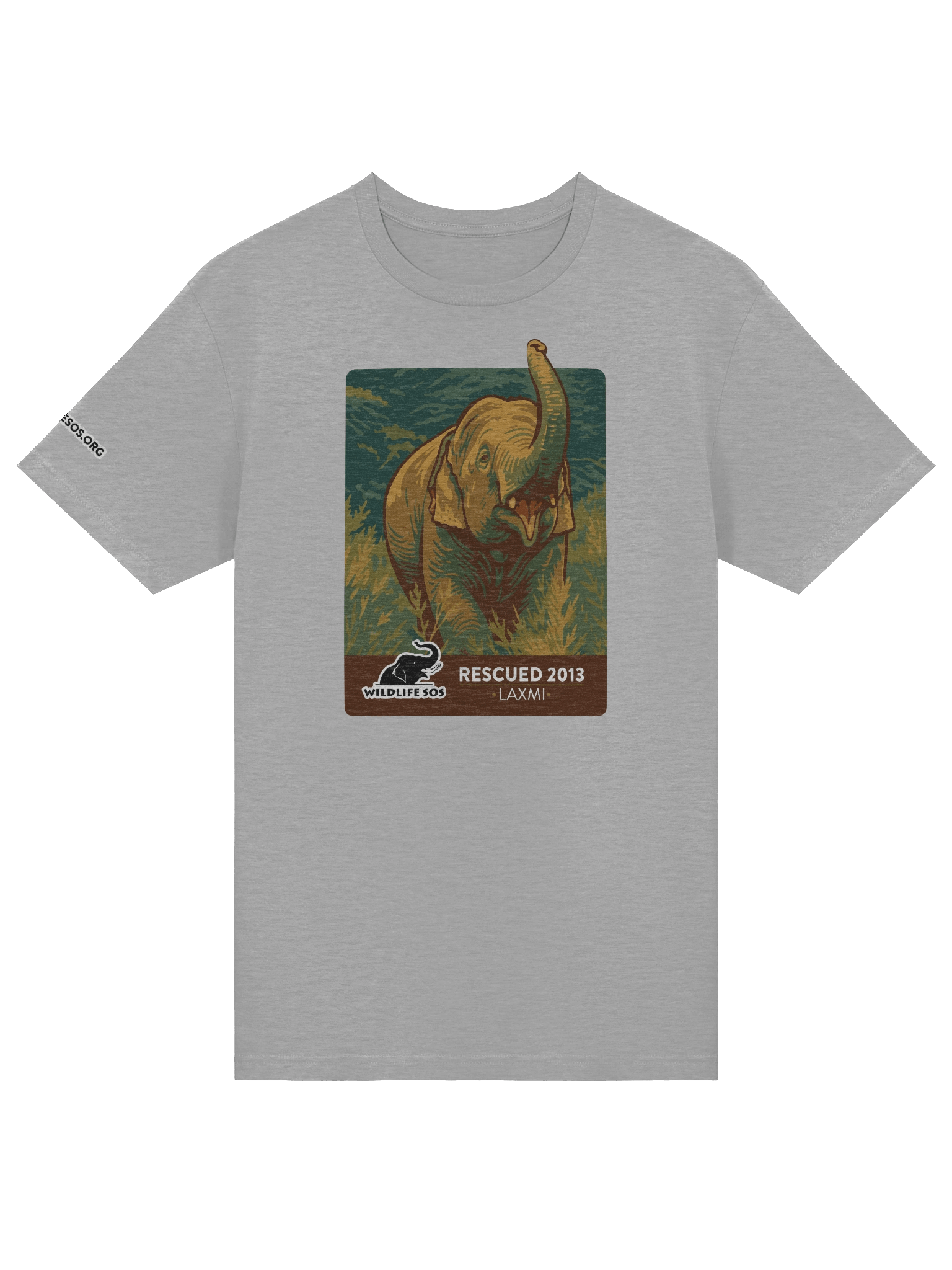 Laxmi - Rescued 2013! product image (20)