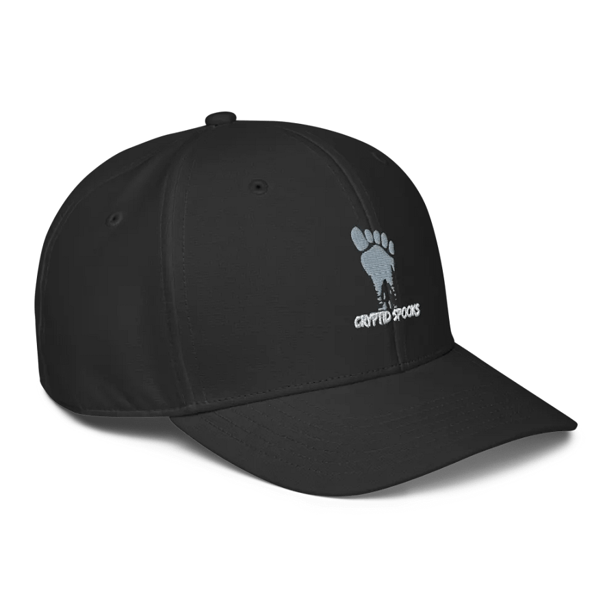 Cryptid Spooks - cap - Adidas product image (3)