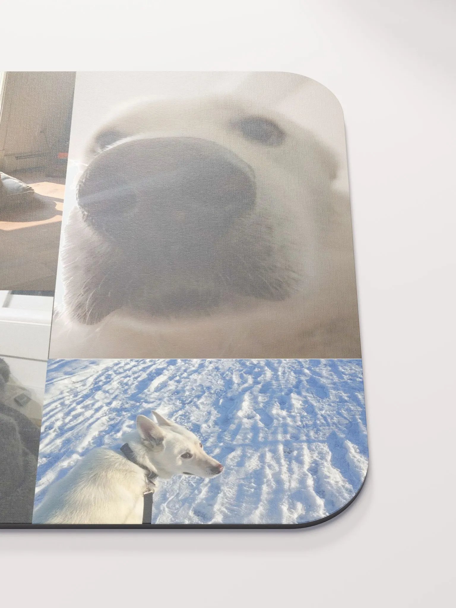 the big collage product image (6)