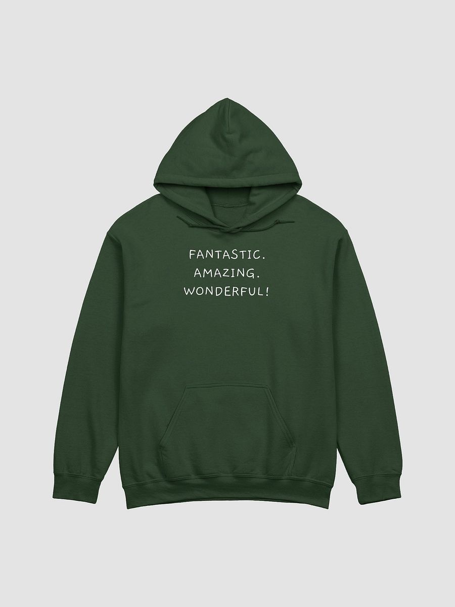 Fantastic Hoodie product image (5)