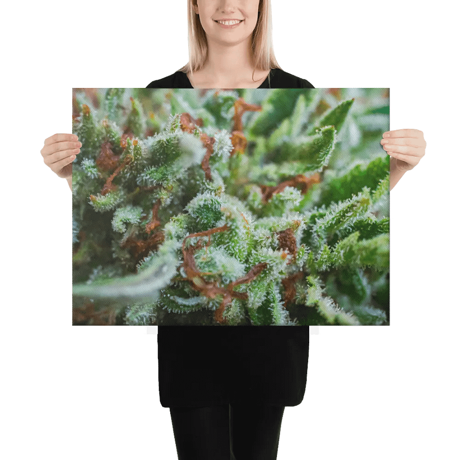 Cannabis Flower Canvas product image (2)