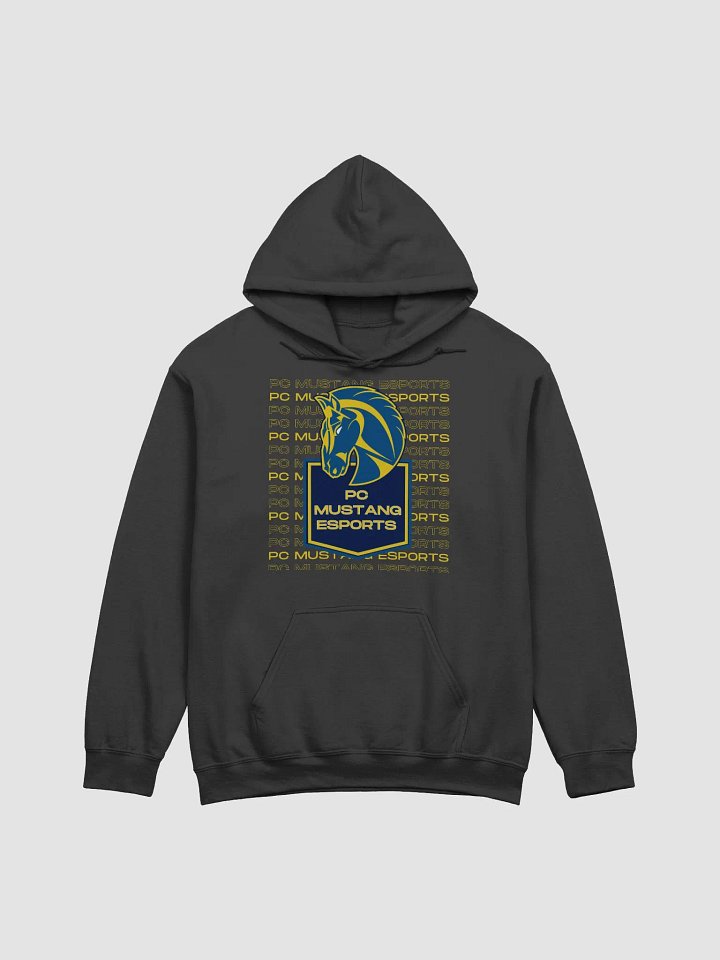 PC Hoodie 2 product image (1)