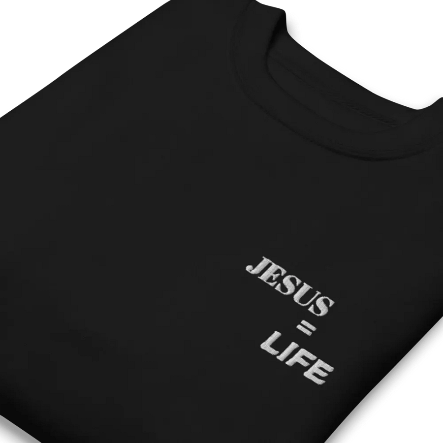 Sweatshirt product image (13)