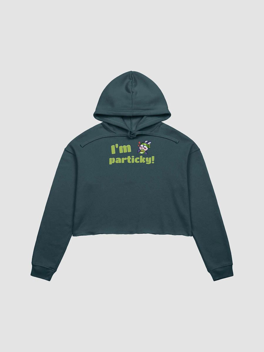 Particky Crop Hoodie product image (1)