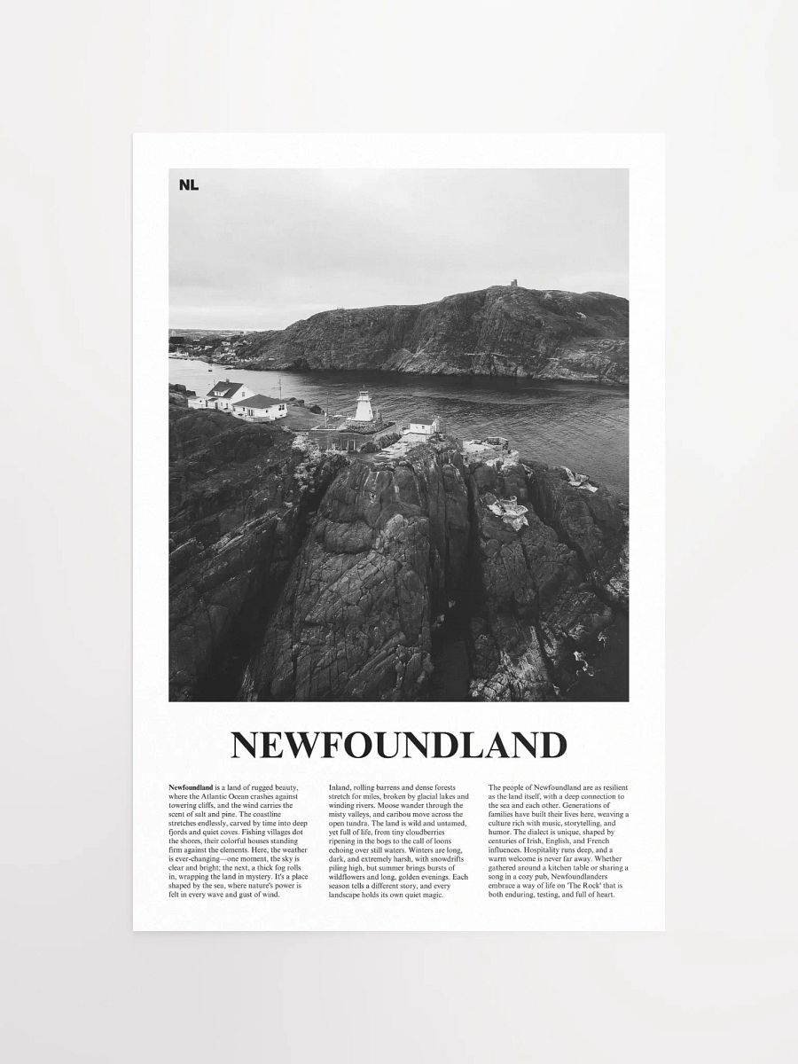 Newfoundland 01 Newspaper Poster product image (5)