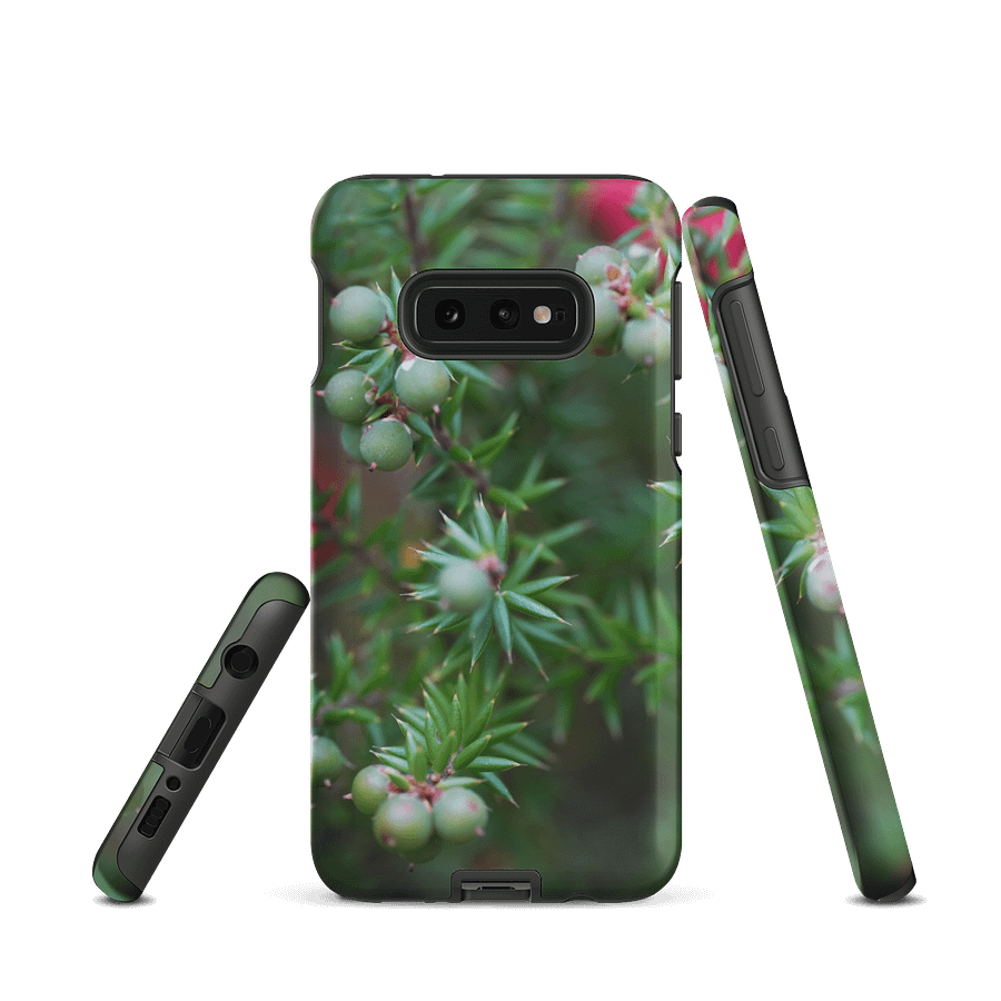 Berries product image (2)