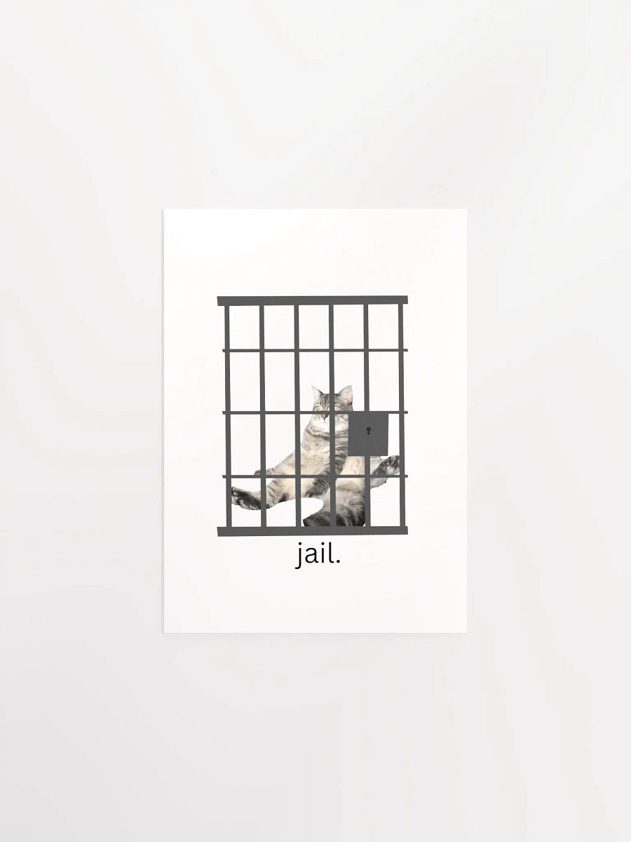 Miso Jail Poster product image (1)