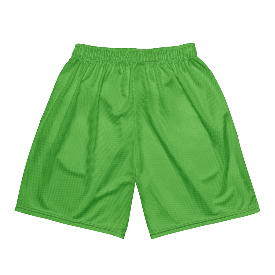 Zoro Unisex Mesh Shorts product image (3)