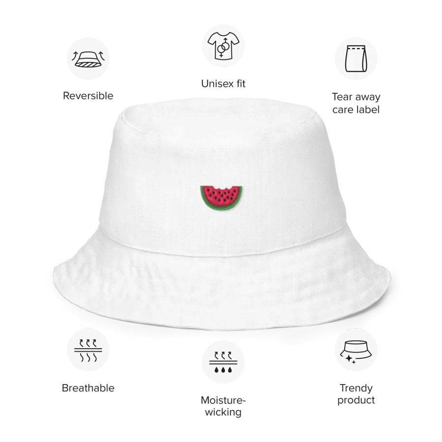 GROOVY MELON | REVERSIBLE HAT product image (5)