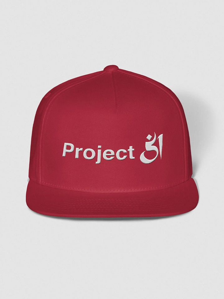 Project 51 snapback product image (1)