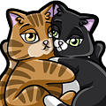 KittiesPlease