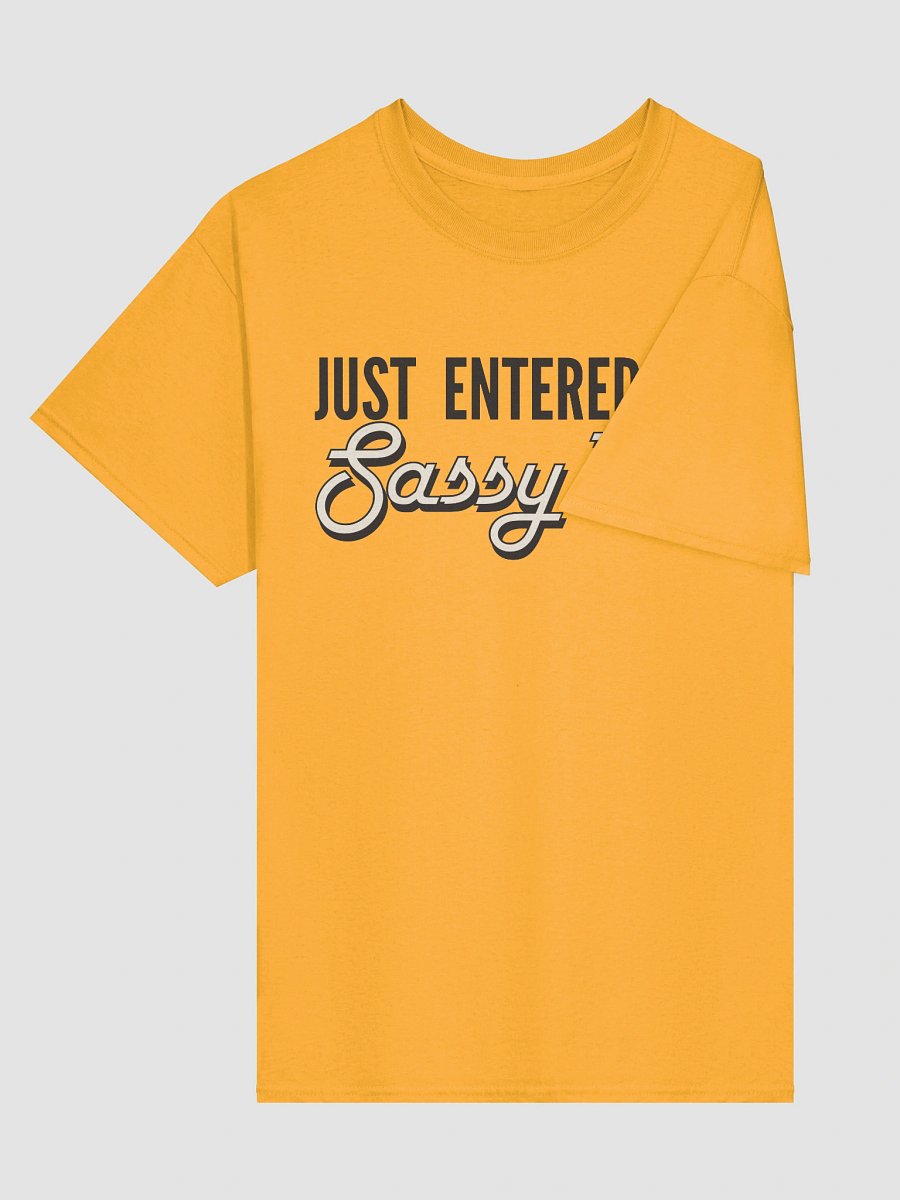 Sassy 70s Nostalgic Birthday T-Shirt product image (13)