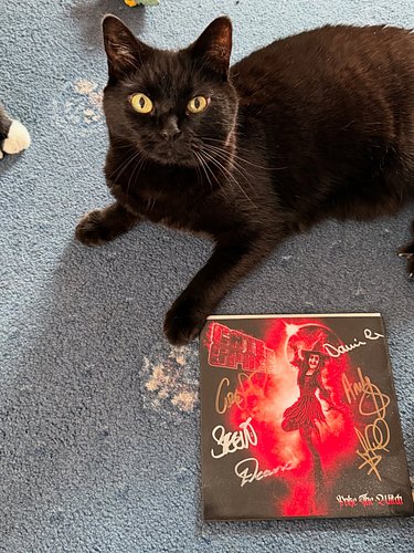 Jazz shares some of her rare ‘Cats in Space’ vinyl.
Poke The Witch signed 7” single