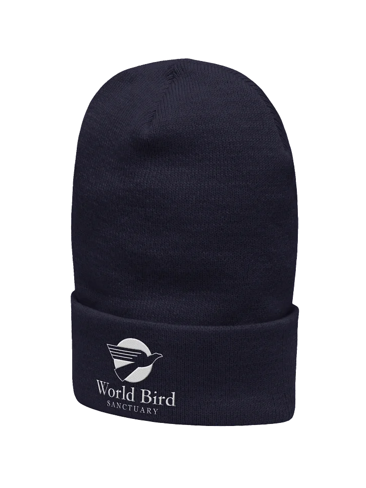 WBS Embroidered Beanie product image (3)