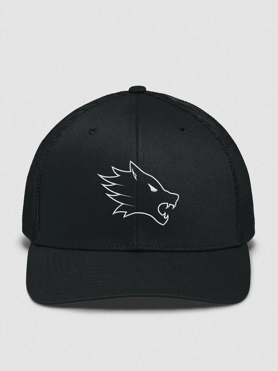 Basics Cap product image (1)
