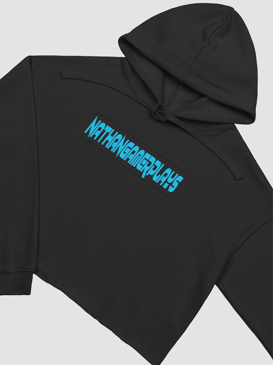 NathanGamerplays Hoodie product image (12)