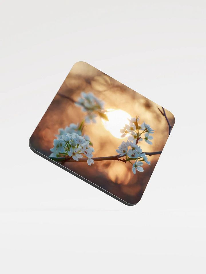 Blossoms Coaster product image (2)