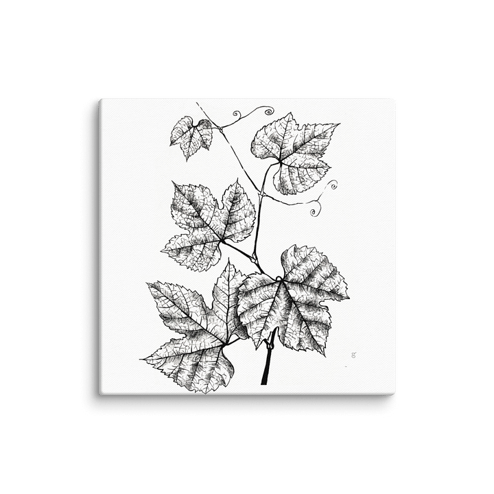 Botanical Bliss Canvas Art - Grape Leaves product image (1)