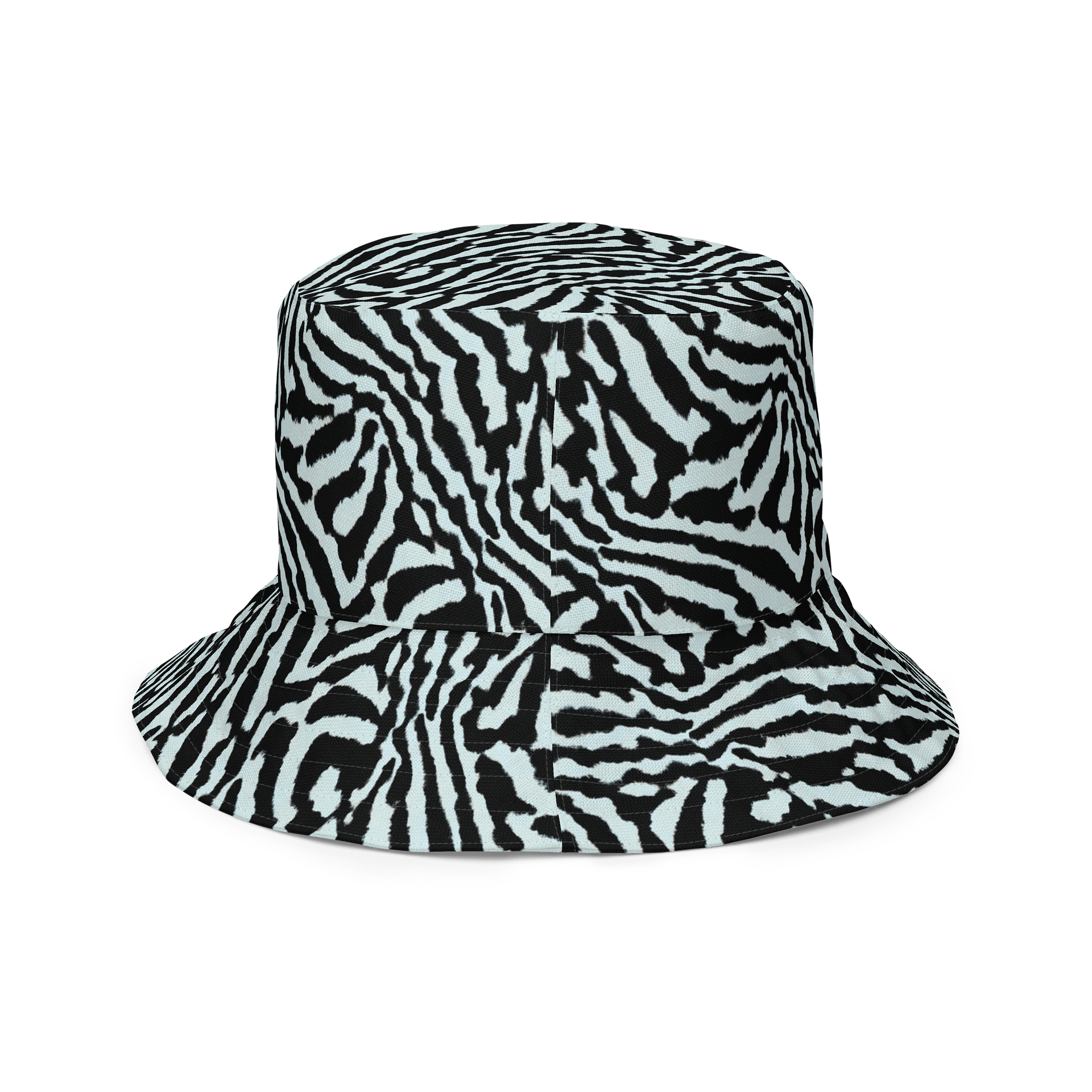 Blue Zebra Hat product image (6)