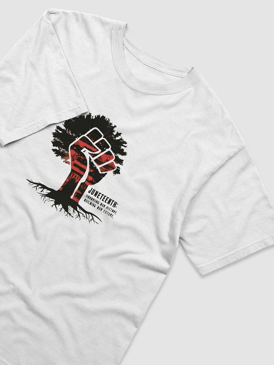 Rooted in History, Reaching for the Future product image (3)