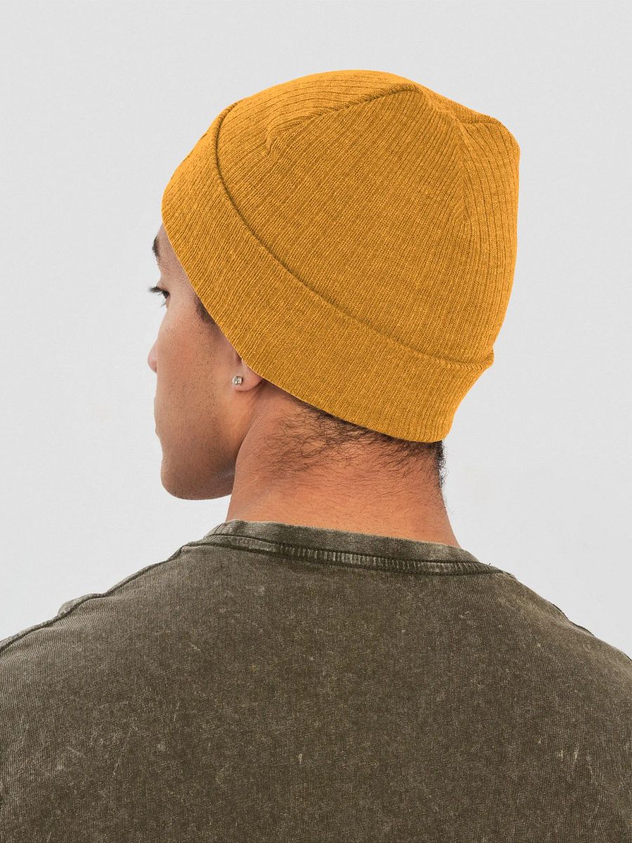 CLHY Logo Beanie product image (20)
