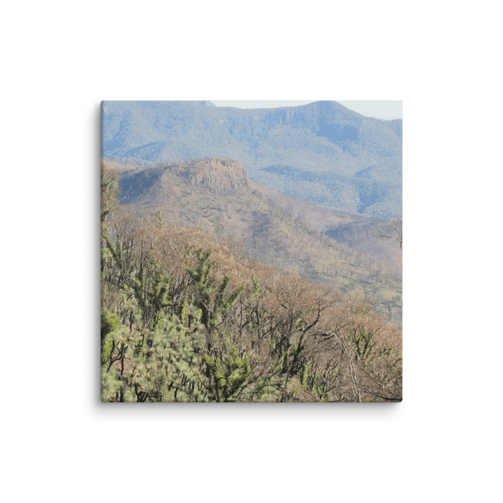 Historic Coonabarabran NSW Fire Canvas product image (2)