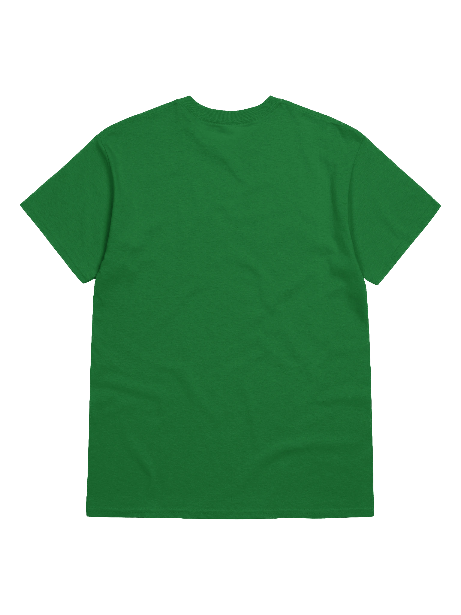 Fast poodle graphic t-shirt product image (78)