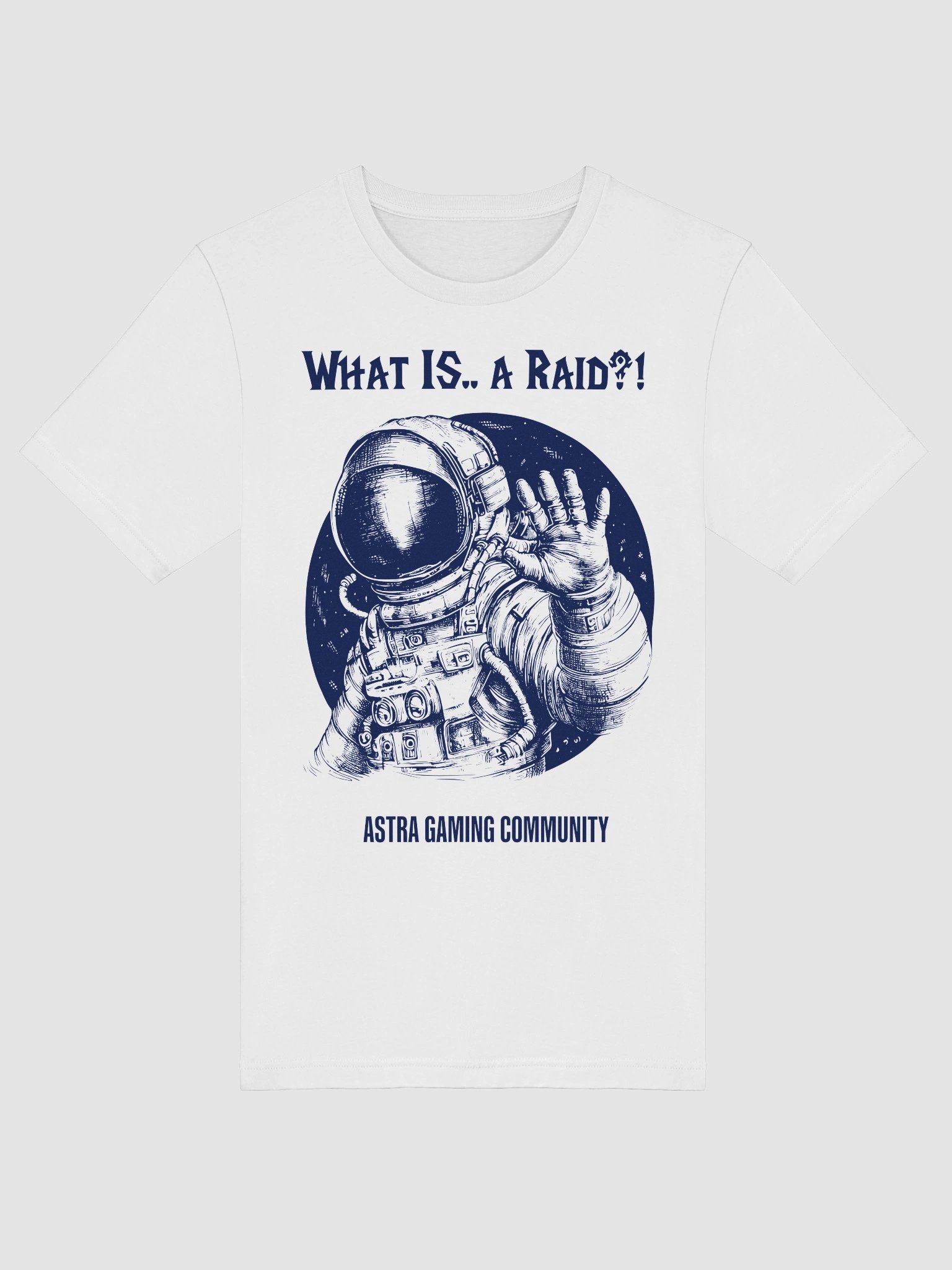 What is... a Raid? product image (5)