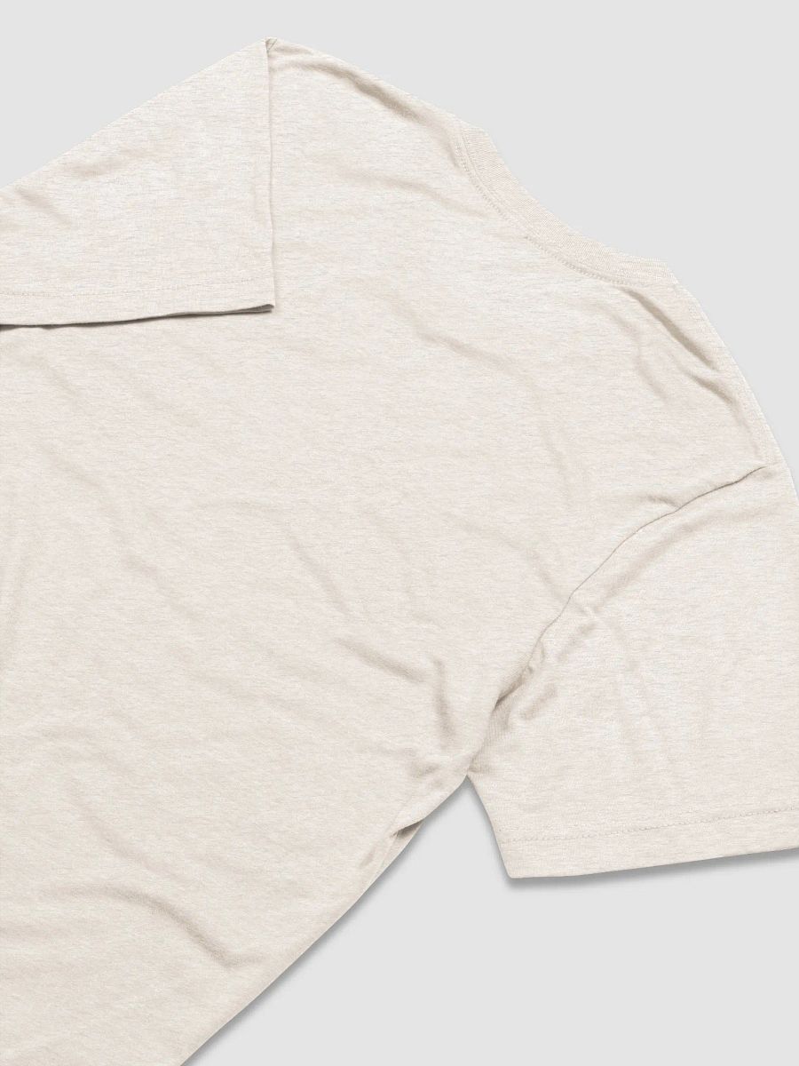 Christian Conspiracy Coalition (Bible Edition) - Triblend Short Sleeve T-Shirt product image (4)