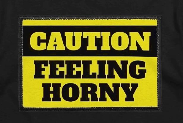 Satire Relaxed Tshirt (CFH) product image (2)